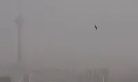 آلودگی هوا رکورد زد، مدارس باز شد!