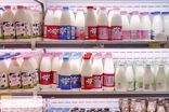 ردپای مافیای فساد در افزایش قیمت لبنیات