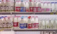 ردپای مافیای فساد در افزایش قیمت لبنیات