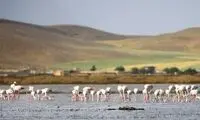 تالاب زیبای ایران پس از ۳ سال دوباره زنده شد