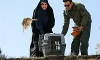 حرکت عجیب خبرنگار زن صداوسیما سوژه شد!