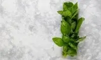 خواص و فواید درمانی ریحان در طب سنتی