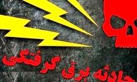 راز ازدواج پنهانی یک مرد با برق‌گرفتگی برملا شد