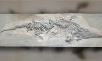 نابودی با ارزش‌ترین گنج دریایی توسط هیتلر
