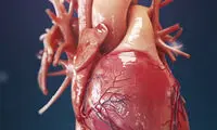 شاهکار جدید هوش مصنوعی؛ قلب شما چه شکلی است؟