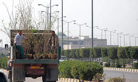 اقدام جالب یک راننده کامیون تبدیل به رسمی زیبا شد