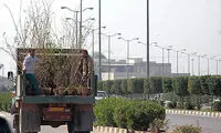 اقدام جالب یک راننده کامیون تبدیل به رسمی زیبا شد