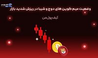 وضعیت میم کوین های دوج و شیبا در ریزش شدید بازار