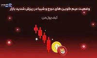وضعیت میم کوین های دوج و شیبا در ریزش شدید بازار