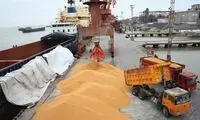 محموله بزرگ نهاده دامی کپک زد و از بین رفت!