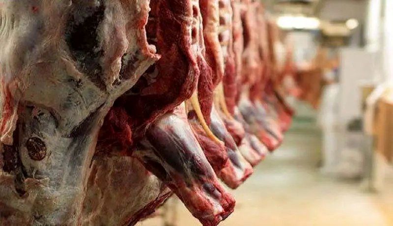  چرا قیمت گوشت افزایش یافت؟