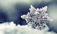 ببینید: بارش کم‌سابقه برف در آفریقای جنوبی