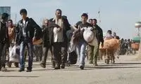 تصمیم مهم مجلس درباره مهاجران افغانستانی