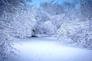 تصاویر بارش نیم متری برف در این منطقه