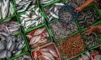 چرا مصرف ماهی در ایران بسیار پایین است؟ 
