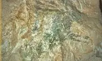 کشف نقاشی کهن از گوزن در غار  علی‌صدر!