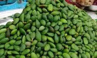 قیمت عجیب و شوکه‌کننده یک میوه محبوب نوبرانه