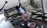 حمله وحشتناک شاه کبرا به زن خانه‌دار در حال آشپزی