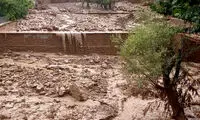 سیلاب شمیرانات جان یک مادر باردار را گرفت