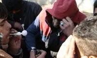 افزایش دو برابری قیمت تریاک در ایران