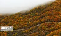 برق جاده چالوس قطع شد