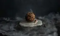 گوشت حیوان منقرض شده در منوی غذا!