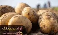 ایده‌های خلاقانه کسب و کار که متعجبتان می کند