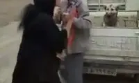 ماجرای ویدئوی جنجالی دختر عصبانیِ حامی حیوانات