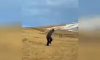 راهکار متفاوت و جالب برای مقابله با حمله گرگ!