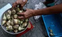 اینجا «پیاز» کالایی لوکس است و حکم طلا را دارد!