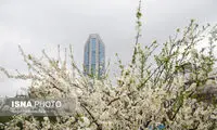 از این تاریخ، بارش در کشور فراگیر می‌شود