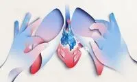 کلید افزایش طول عمر در دست اندامی فراموش شده