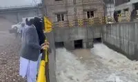 طالبان حق‌آبه هامون را از بین برد!