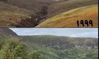 تصویر احیای یک منطقه بیابانی شده در انگلیس واکنش‌برانگیز شد