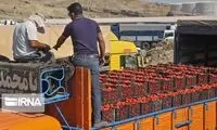 هجوم مردم برای جمع‌کردن رب گوجه پس از واژگونی کامیون
