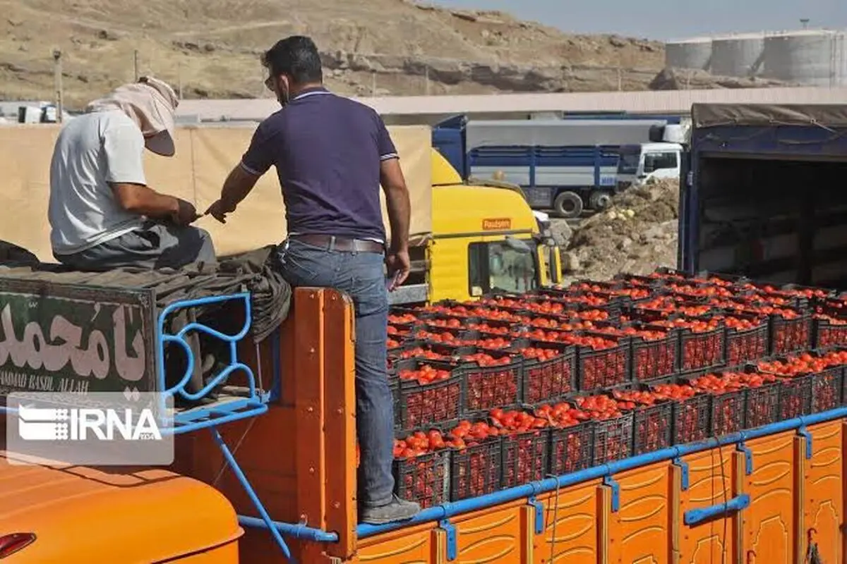 هجوم مردم برای جمع‌کردن رب گوجه پس از واژگونی کامیون