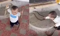 دو مار زنده اسباب بازی یک کودک نوپا!