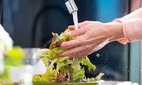 شست‌وشوی این سبزی محبوب تابستانی را جدی بگیرید
