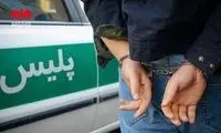 عامل تجاوز سریالی در تهران دستگیر شد