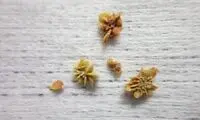 بهترین نوشیدنی برای جلوگیری از سنگ مثانه