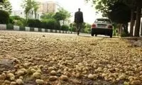 عکسی از تهران که بوی خاطرات شیرین کودکی را می‌دهد