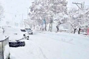شادی زمستانی مردم فریدونشهر پس از بارش برف