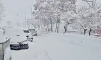 شادی زمستانی مردم فریدونشهر پس از بارش برف