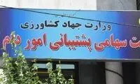 عرضه گوشت دولتی در میادین میوه و تره‌بار تهران