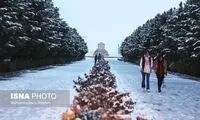 تصاویر: بارش برف در مجموعه پاسارگاد