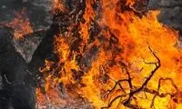 دستگیری ۱۷ نفر برای آتش‌سوزی جنگل‌های لرستان