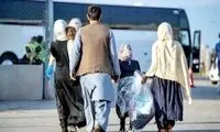 اولین آمار رسمی خروج اتباع غیرمجاز از ایران