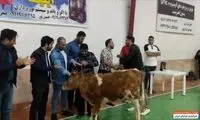 اتفاق باورنکردنی در مسابقات فوتسال جام رمضان
