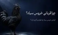 چرا قربانی خروس سیاه ؟