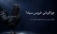 چرا قربانی خروس سیاه ؟